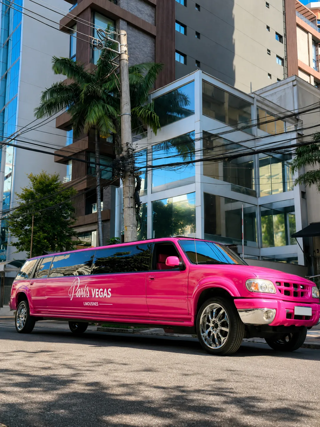 Explorer Pink